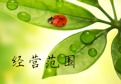 公司經(jīng)營范圍 公司經(jīng)營范圍